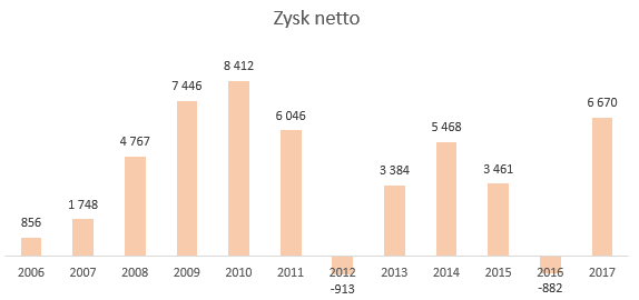 Zysk netto